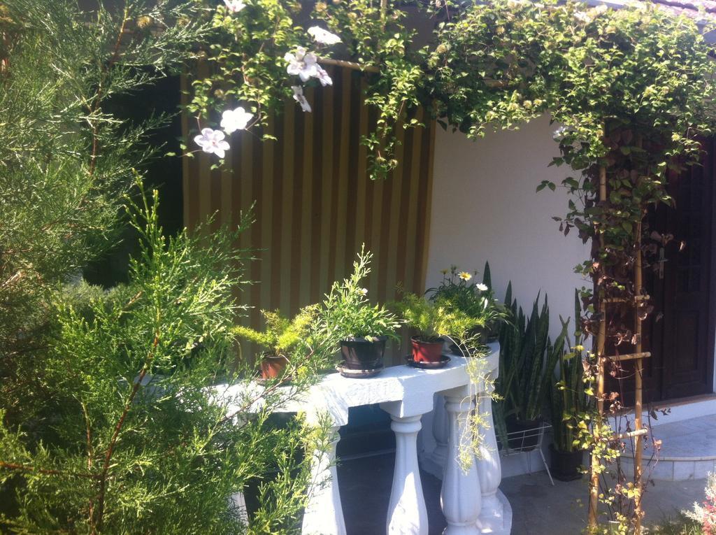 Santa Maria Apartment Donji Kovilj Esterno foto