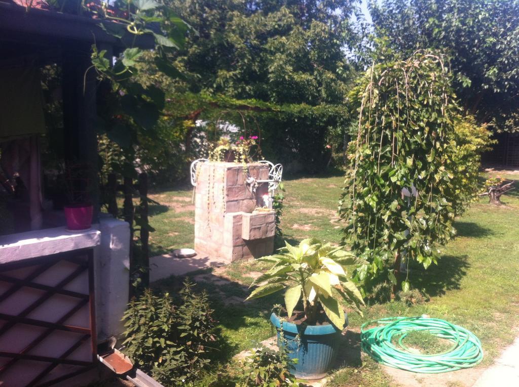 Santa Maria Apartment Donji Kovilj Esterno foto