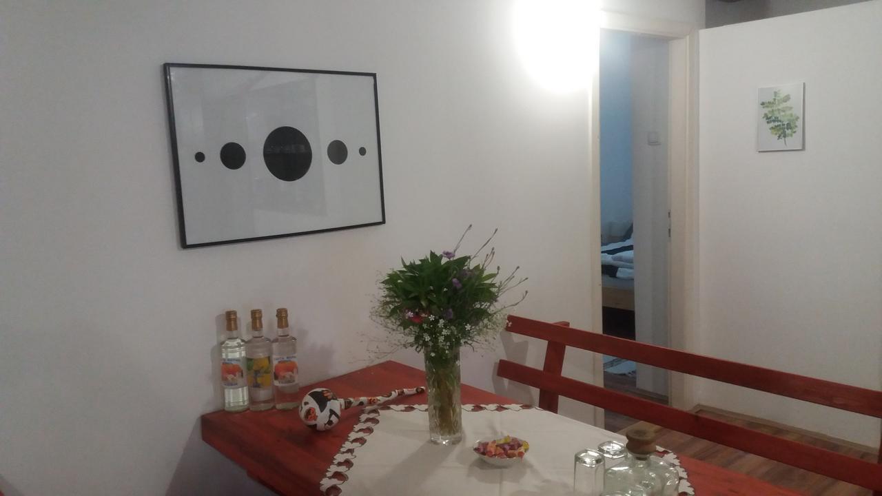 Santa Maria Apartment Donji Kovilj Esterno foto