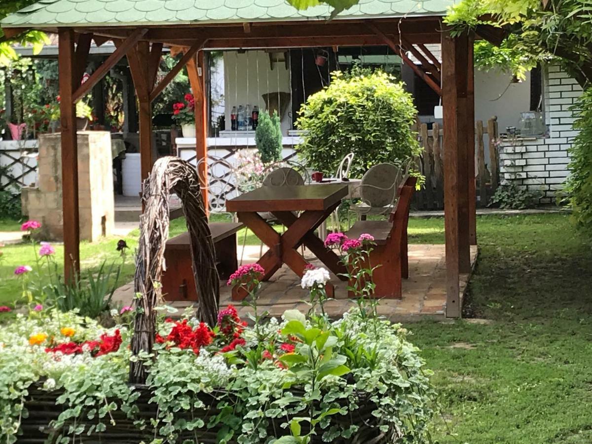 Santa Maria Apartment Donji Kovilj Esterno foto